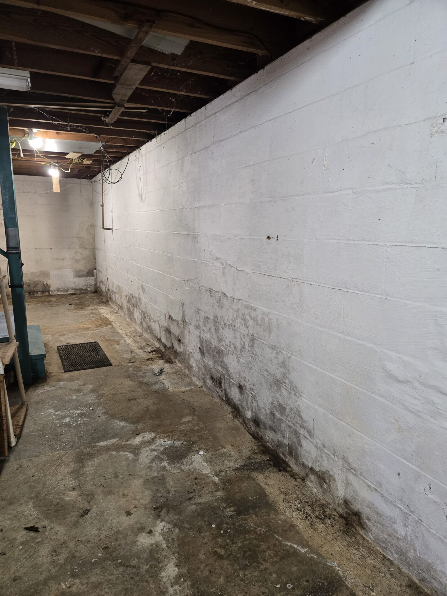 A dilapidated basement with moldy walls and exposed wooden beams